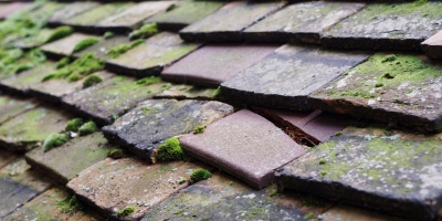 Wicken roof repair costs